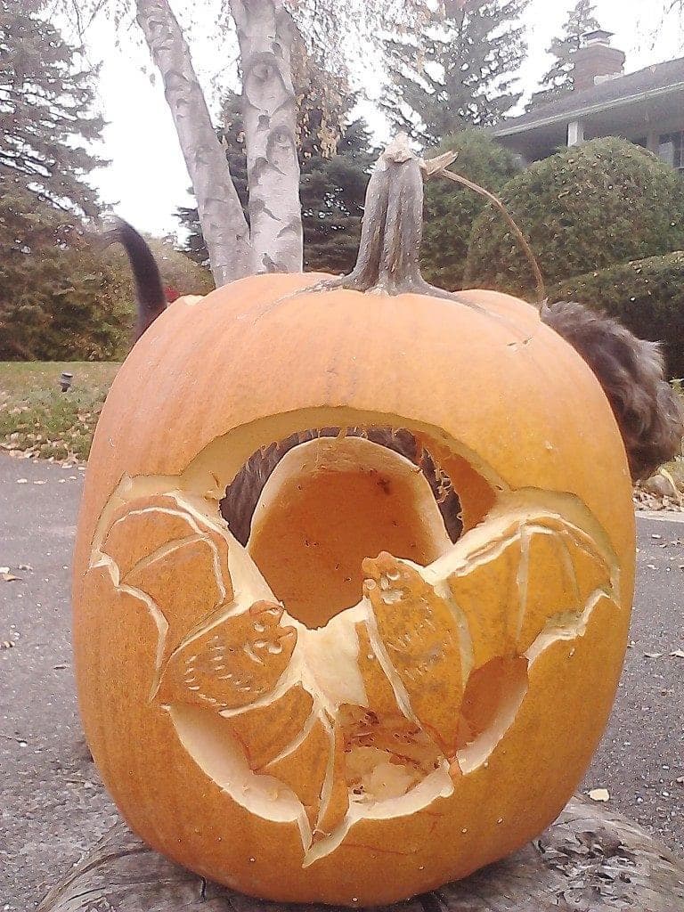 Nature Art — Tonito Valderrama