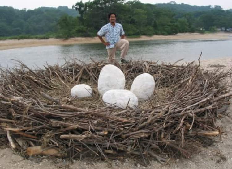 Nest Installation