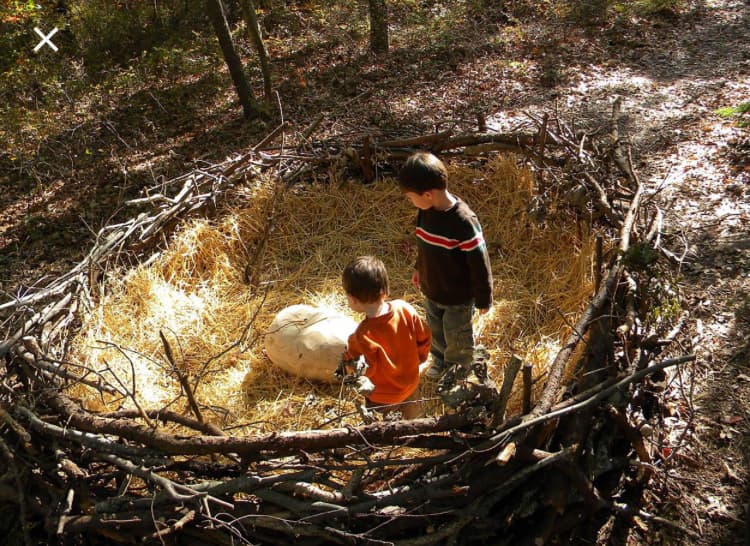 Children exploring a nest installation