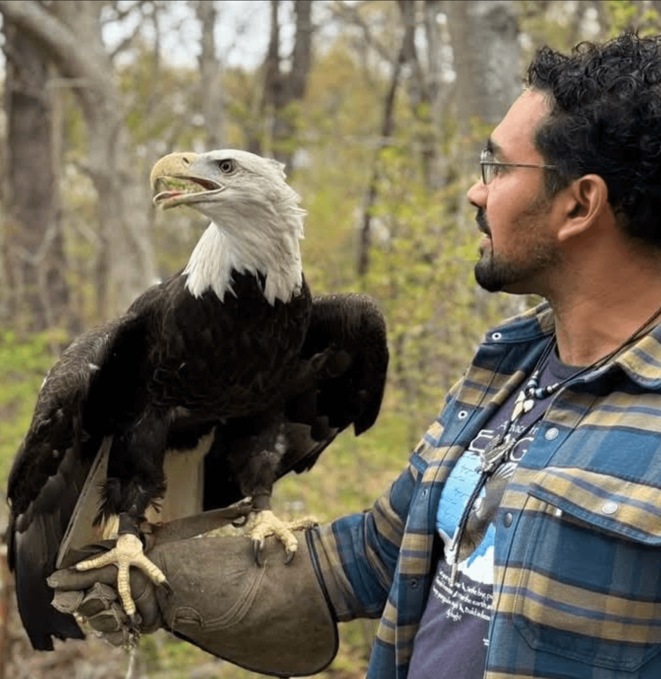 Wildlife Encounters